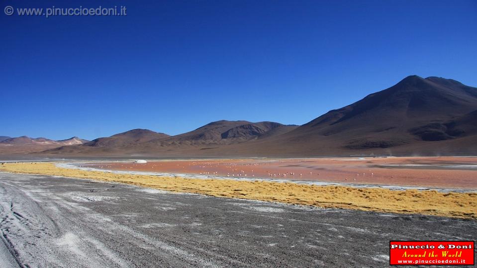 BOLIVIA 2 - Laguna Colorada - 21.jpg